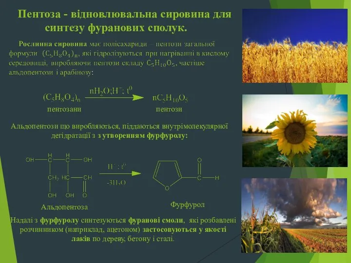 Пентоза - відновлювальна сировина для синтезу фуранових сполук. пентозани пентози Альдопентози