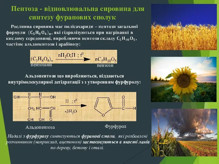 Пентоза - відновлювальна сировина для синтезу фуранових сполук пентозани пентози Альдопентози