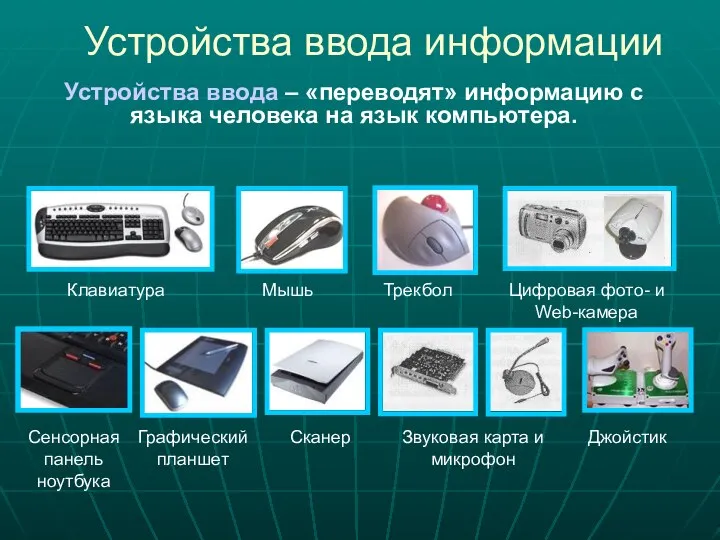 Устройства ввода информации Клавиатура Мышь Трекбол Сенсорная панель ноутбука Графический планшет