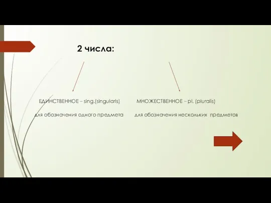 2 числа: ЕДИНСТВЕННОЕ – sing.(singularis) МНОЖЕСТВЕННОЕ – pl. (pluralis) для обозначения