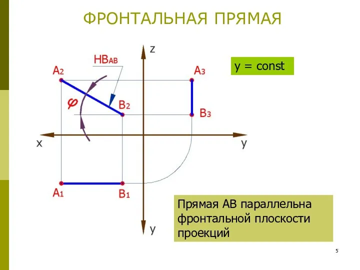 ФРОНТАЛЬНАЯ ПРЯМАЯ Прямая АВ параллельна фронтальной плоскости проекций y = const