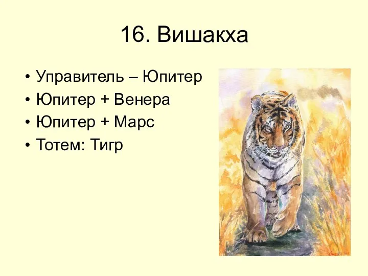 16. Вишакха Управитель – Юпитер Юпитер + Венера Юпитер + Марс Тотем: Тигр