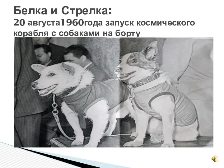 Белка и Стрелка: 20 августа1960года запуск космического корабля с собаками на борту