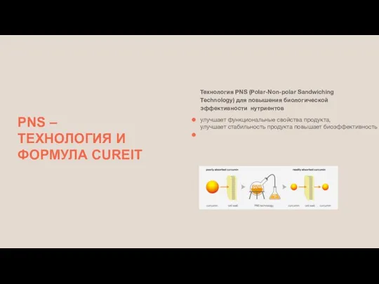 Технология PNS (Polar-Non-polar Sandwiching Technology) для повышения биологической эффективности нутриентов улучшает