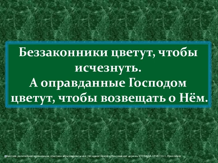 Беззаконники цветут, чтобы исчезнуть. А оправданные Господом цветут, чтобы возвещать о Нём.