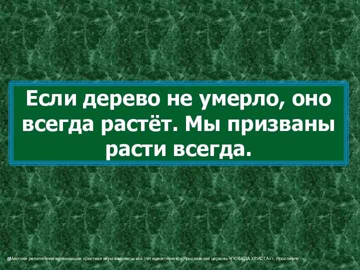 Если дерево не умерло, оно всегда растёт. Мы призваны расти всегда.