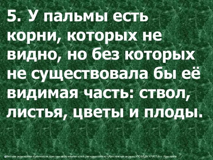 5. У пальмы есть корни, которых не видно, но без которых