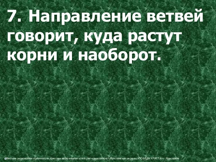 7. Направление ветвей говорит, куда растут корни и наоборот.