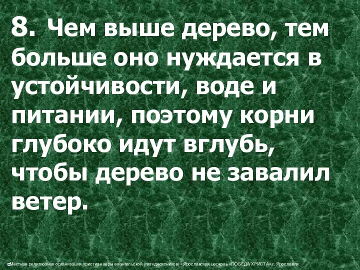 8. Чем выше дерево, тем больше оно нуждается в устойчивости, воде