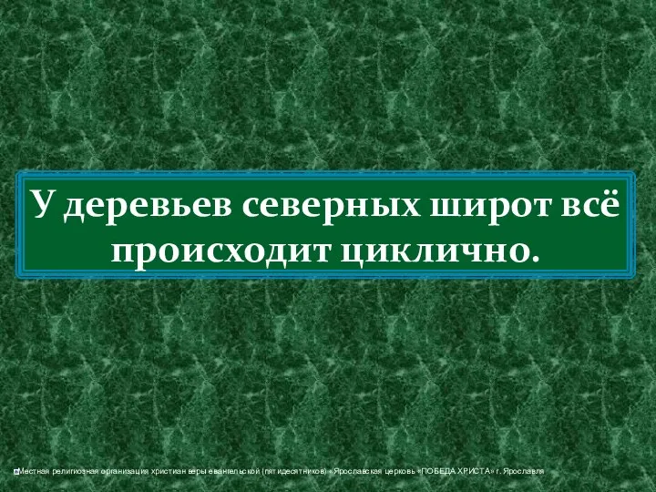 У деревьев северных широт всё происходит циклично.