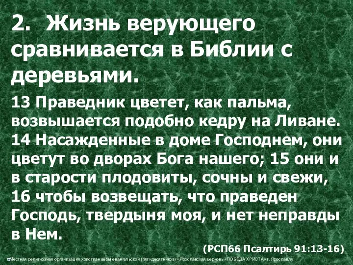 2. Жизнь верующего сравнивается в Библии с деревьями. 13 Праведник цветет,