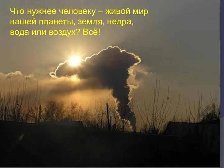 Что нужнее человеку – живой мир нашей планеты, земля, недра, вода или воздух? Всё!