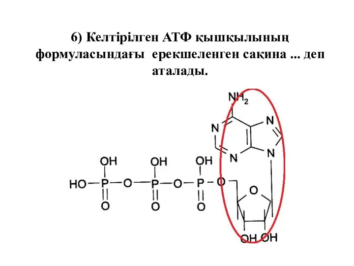 6) Келтірілген АТФ қышқылының формуласындағы ерекшеленген сақина ... деп аталады.