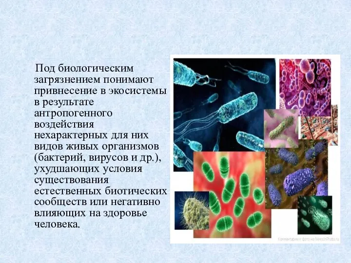 Под биологическим загрязнением понимают привнесение в экосистемы в результате антропогенного воздействия