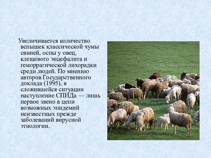 Увеличивается количество вспышек классической чумы свиней, оспы у овец, клещевого энцефалита