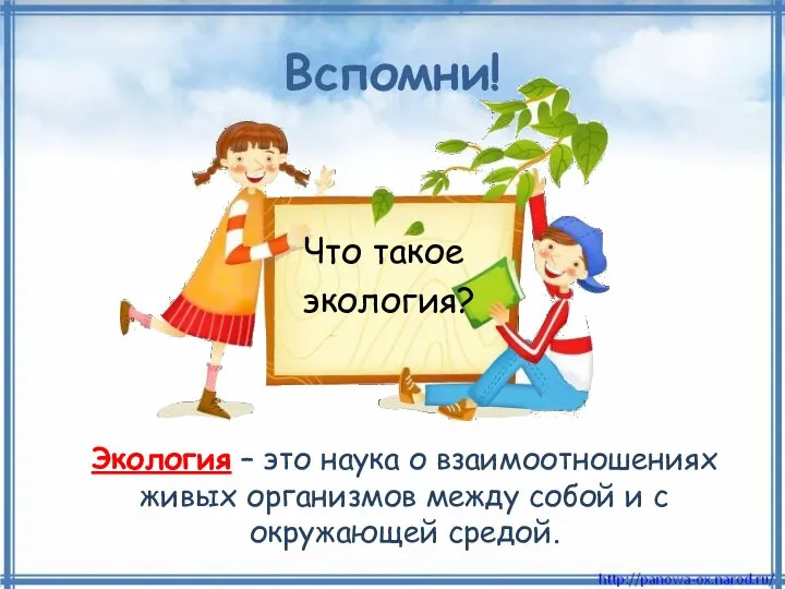 Вспомни! Экология – это наука о взаимоотношениях живых организмов между собой