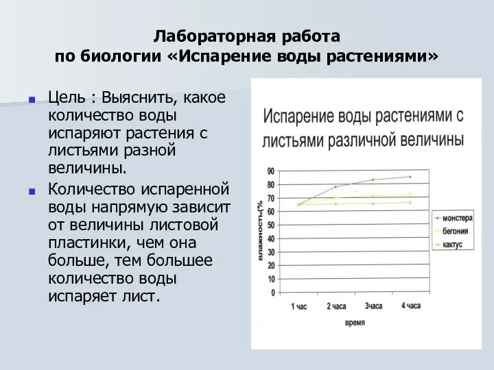 Лабораторная работа по биологии «Испарение воды растениями» Цель : Выяснить, какое