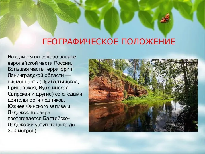 ГЕОГРАФИЧЕСКОЕ ПОЛОЖЕНИЕ Находится на северо-западе европейской части России. Большая часть территории