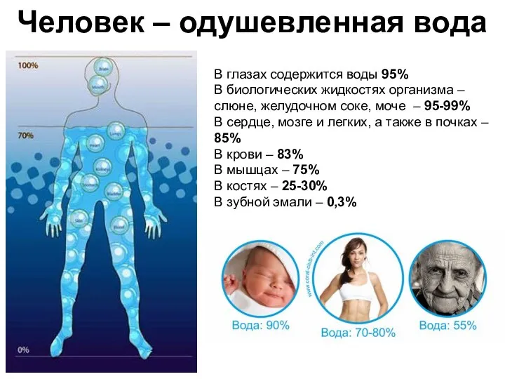 Человек – одушевленная вода В глазах содержится воды 95% В биологических