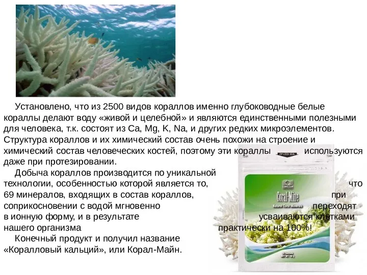 Установлено, что из 2500 видов кораллов именно глубоководные белые кораллы делают