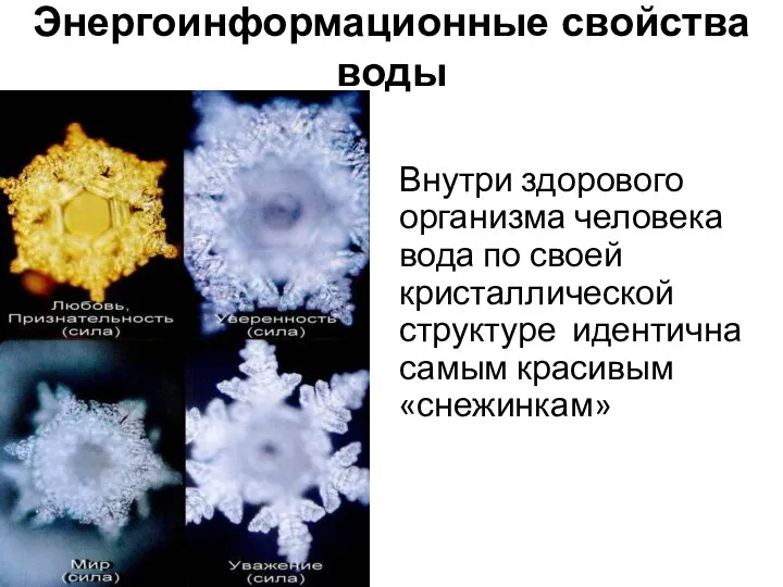 Энергоинформационные свойства воды Внутри здорового организма человека вода по своей кристаллической структуре идентична самым красивым «снежинкам»