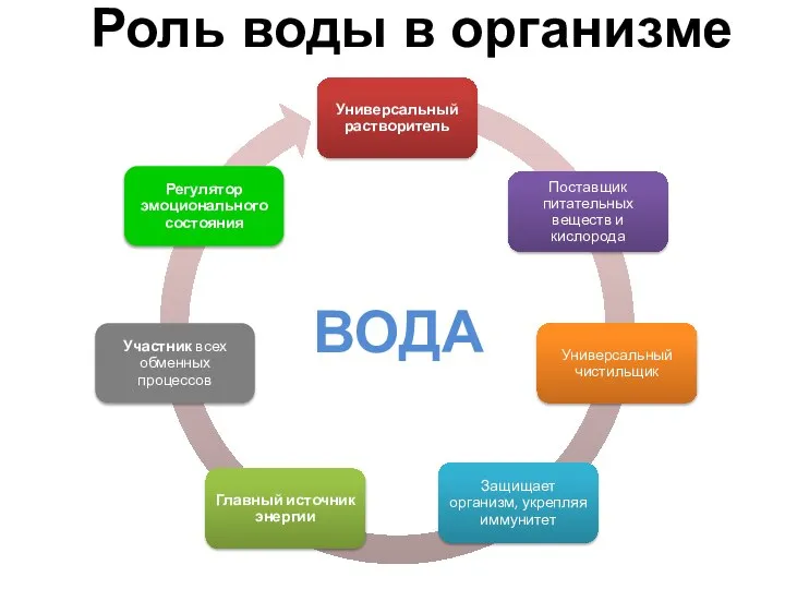 Роль воды в организме ВОДА