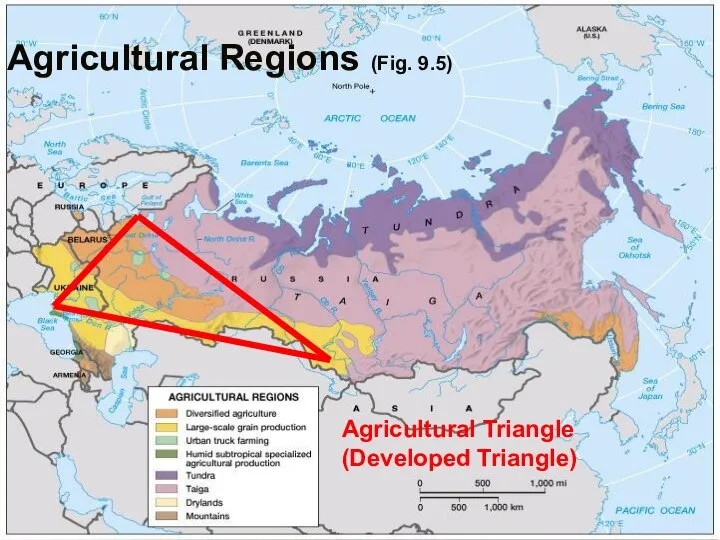 Globalization & Diversity: Rowntree, Lewis, Price, Wyckoff Agricultural Regions (Fig. 9.5) Agricultural Triangle (Developed Triangle)