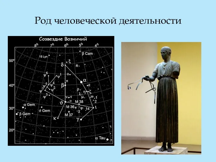 Род человеческой деятельности