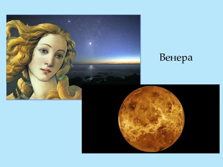 Венера