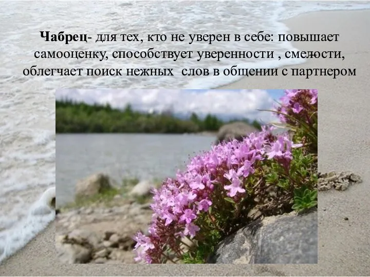 Чабрец- для тех, кто не уверен в себе: повышает самооценку, способствует