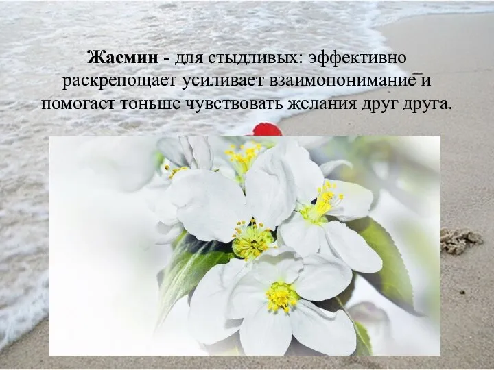 Жасмин - для стыдливых: эффективно раскрепощает усиливает взаимопонимание и помогает тоньше чувствовать желания друг друга.