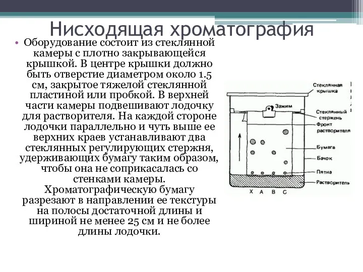 Нисходящая хроматография Оборудование состоит из стеклянной камеры с плотно закрывающейся крышкой.