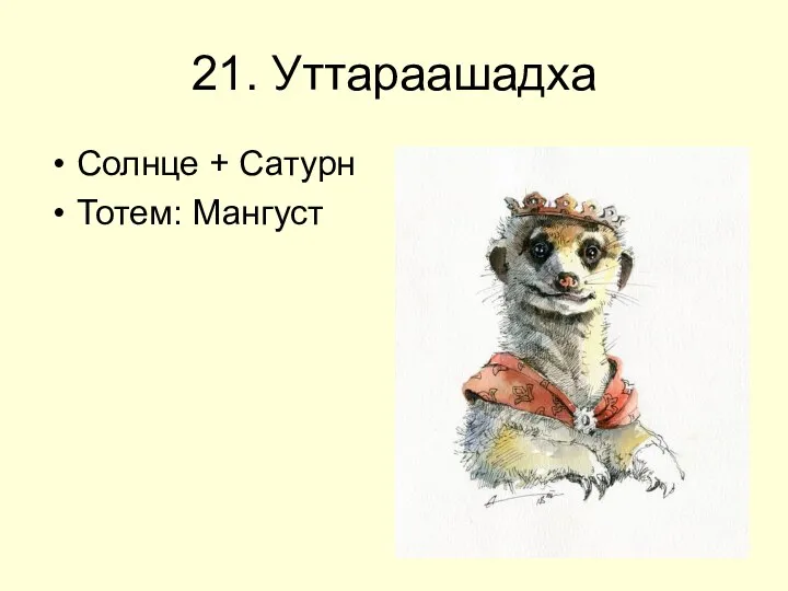 21. Уттараашадха Солнце + Сатурн Тотем: Мангуст