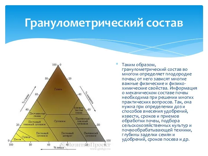 Гранулометрический состав Таким образом, гранулометрический состав во многом определяет плодородие почвы;