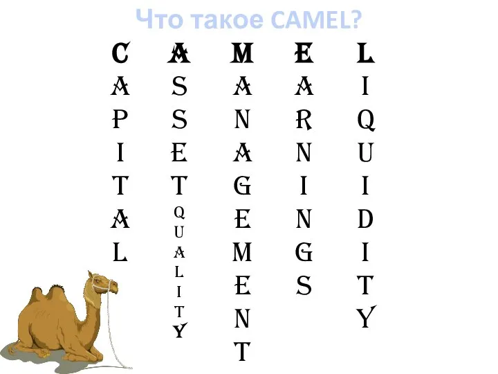 Что такое CAMEL?