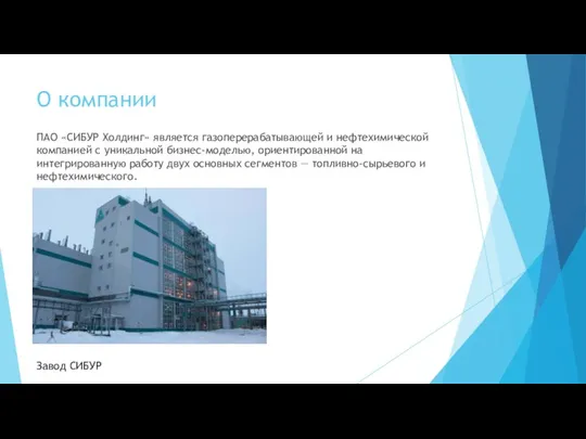 О компании ПАО «СИБУР Холдинг» является газоперерабатывающей и нефтехимической компанией с