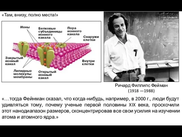 «Там, внизу, полно места!» Ричард Фейман - американский учёный, работавыший в