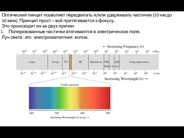 Оптический пинцет позволяет передвигать и/или удерживать частички (10 нм до 10