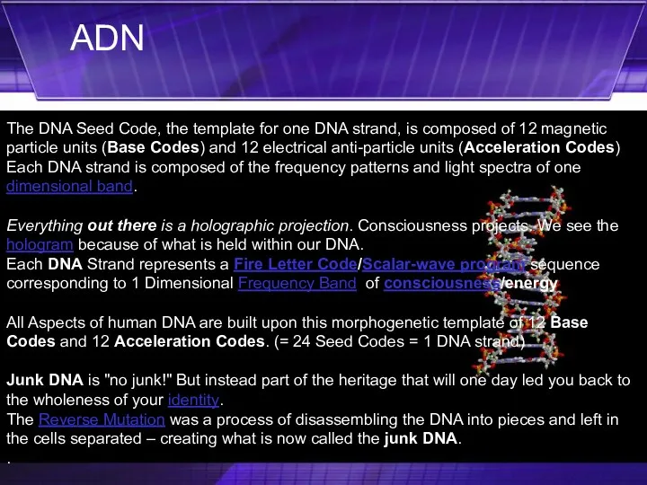 The DNA Seed Code, the template for one DNA strand, is