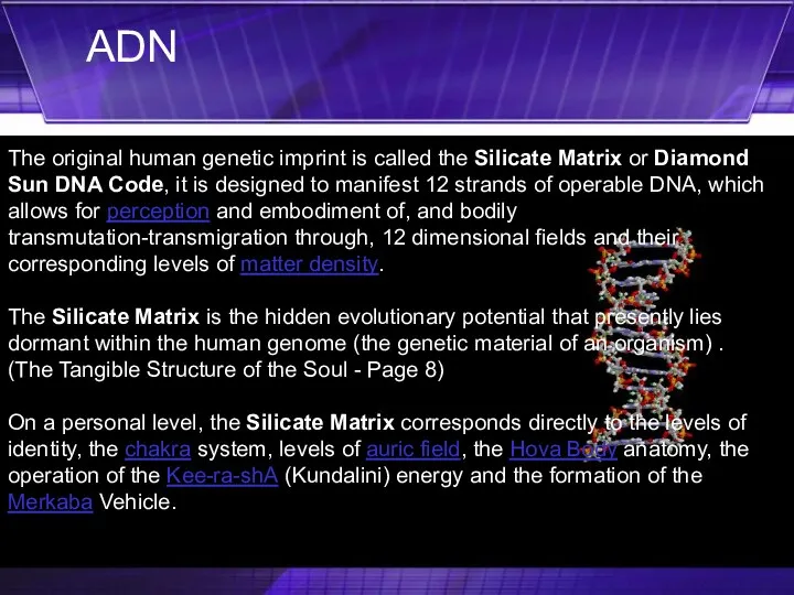 The original human genetic imprint is called the Silicate Matrix or