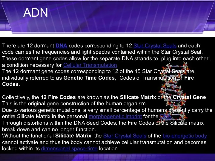 There are 12 dormant DNA codes corresponding to 12 Star Crystal