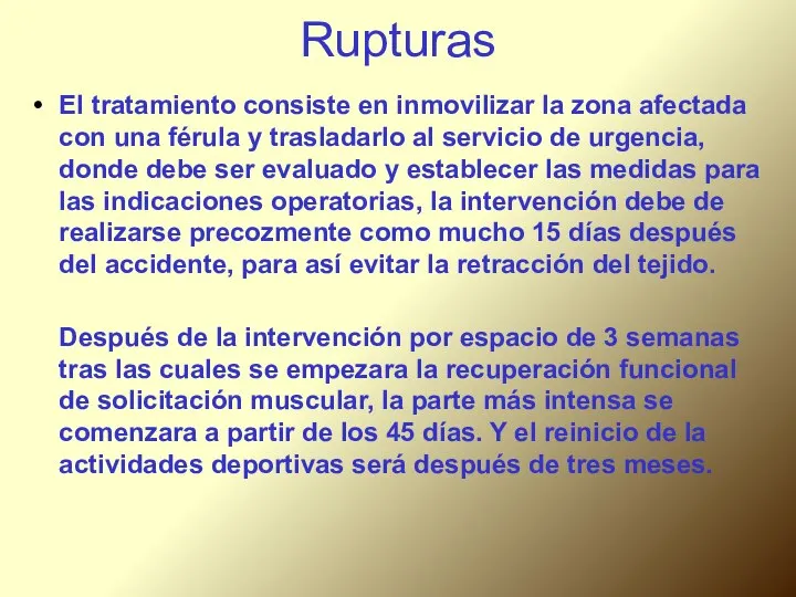 Rupturas El tratamiento consiste en inmovilizar la zona afectada con una