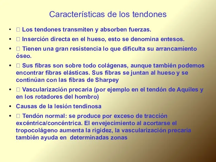 Características de los tendones  Los tendones transmiten y absorben fuerzas.