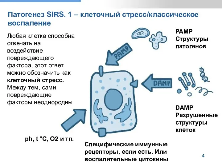 Патогенез SIRS. 1 – клеточный стресс/классическое воспаление ph, t °C, О2