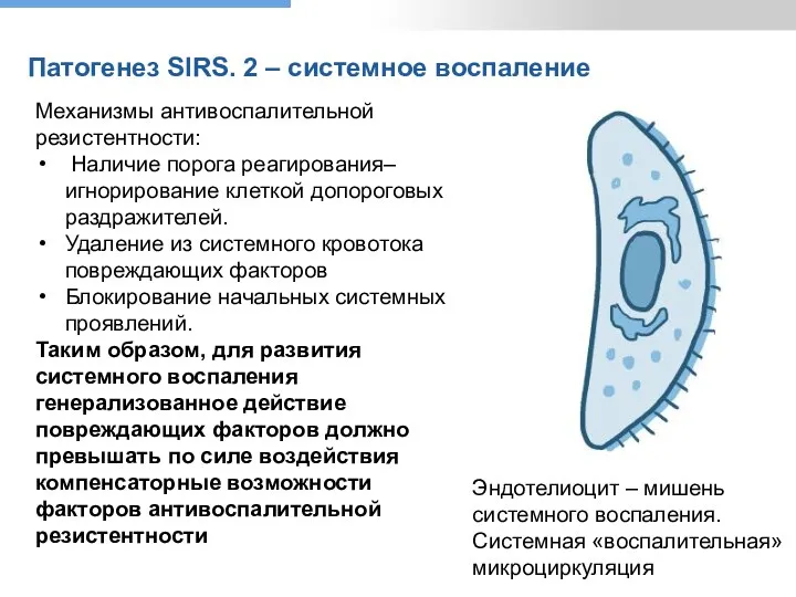 Патогенез SIRS. 2 – системное воспаление Механизмы антивоспалительной резистентности: Наличие порога