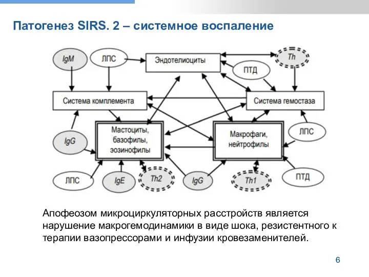 Патогенез SIRS. 2 – системное воспаление Апофеозом микроциркуляторных расстройств является нарушение