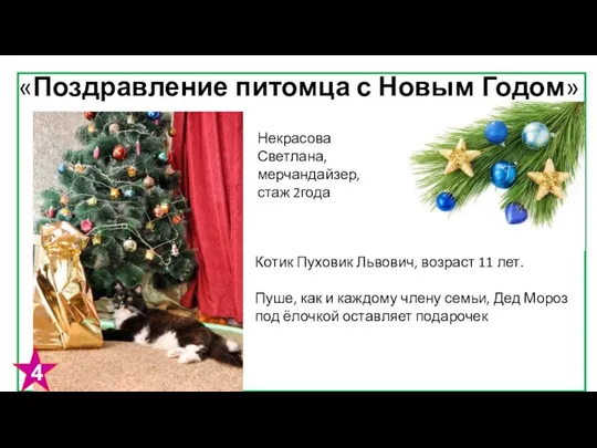 «Поздравление питомца с Новым Годом» Некрасова Светлана, мерчандайзер, стаж 2года Котик