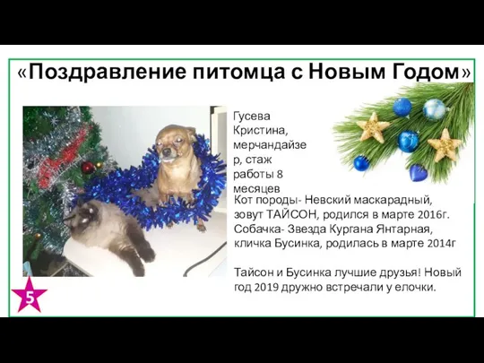 «Поздравление питомца с Новым Годом» Гусева Кристина, мерчандайзер, стаж работы 8