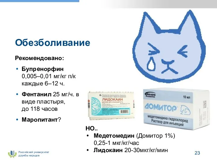 Обезболивание Рекомендовано: Бупренорфин 0,005–0,01 мг/кг п/к каждые 6–12 ч. Фентанил 25