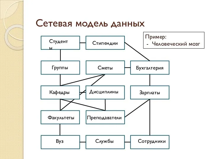 Сетевая модель данных Факультеты Сотрудники Студенты Группы Кафедры Преподаватели Службы Вуз